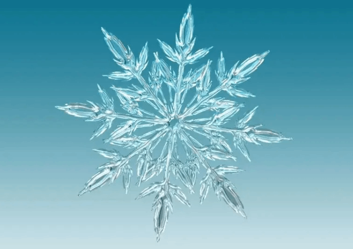 Snowflake Namespace