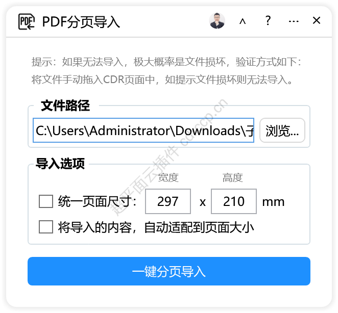 PDF分页导入 截图